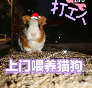 没有什么特长，下班搞什么副业可以赚到钱啊？
