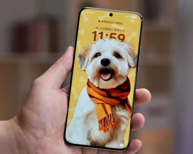 2025年哪些手机内存大，最值得购买？可以推荐这几款！配图